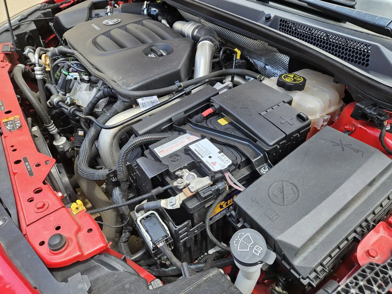 GeoBeetle on battery - angle 5